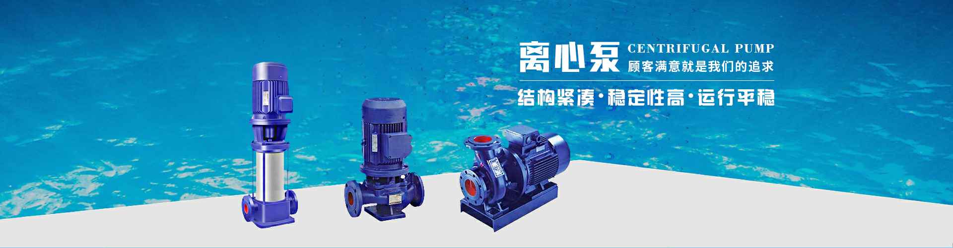 长春志航宠物护理服务有限公司